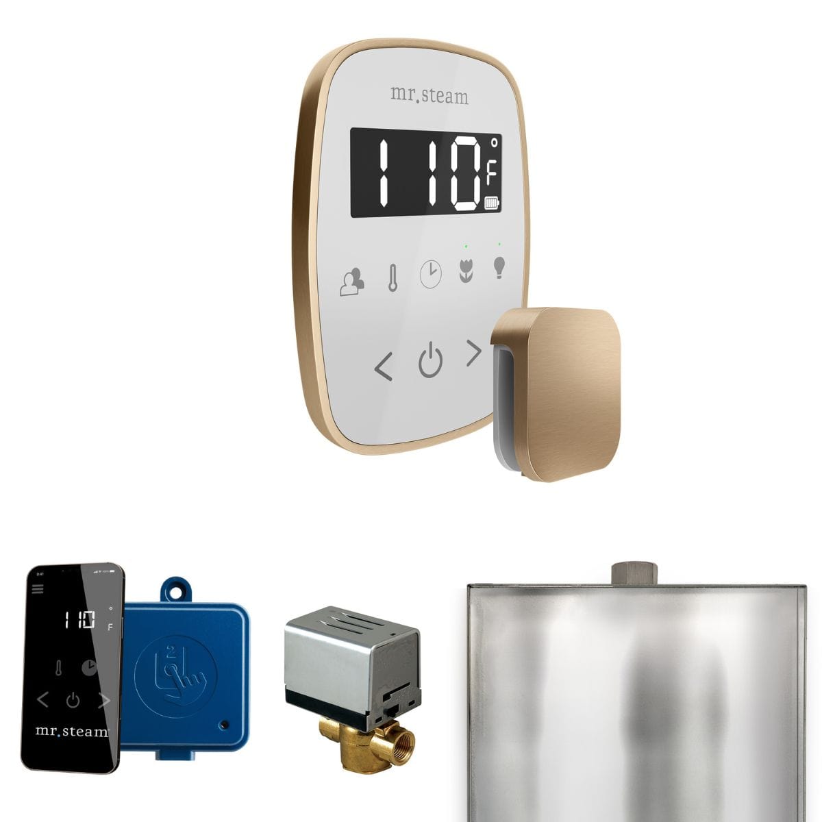 The ButlerFlex Package showcases the iSteamFlex control