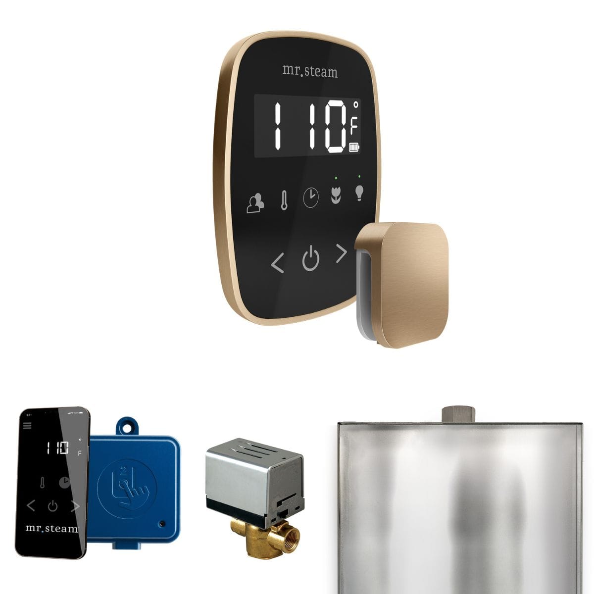 The ButlerFlex Package showcases the iSteamFlex control