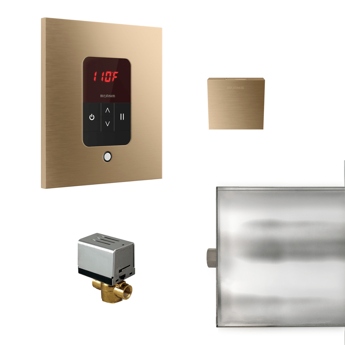 Mr. Steam Basic Butler® Steam Shower Control Package with iTempo Control and Aroma Designer SteamHead in Square