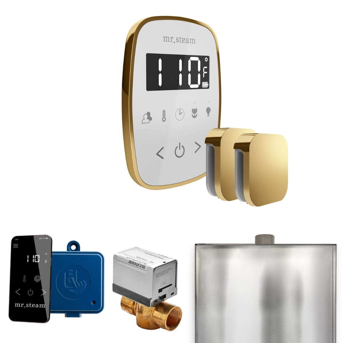 Comes with wireless SteamLinx Module