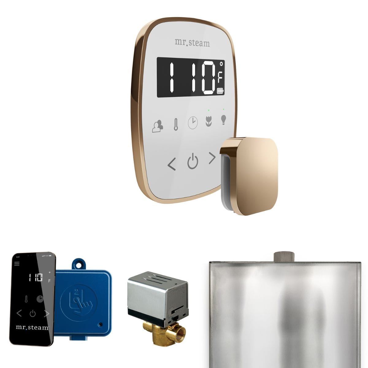 It comes with wireless SteamLinx Module and Mobile App
