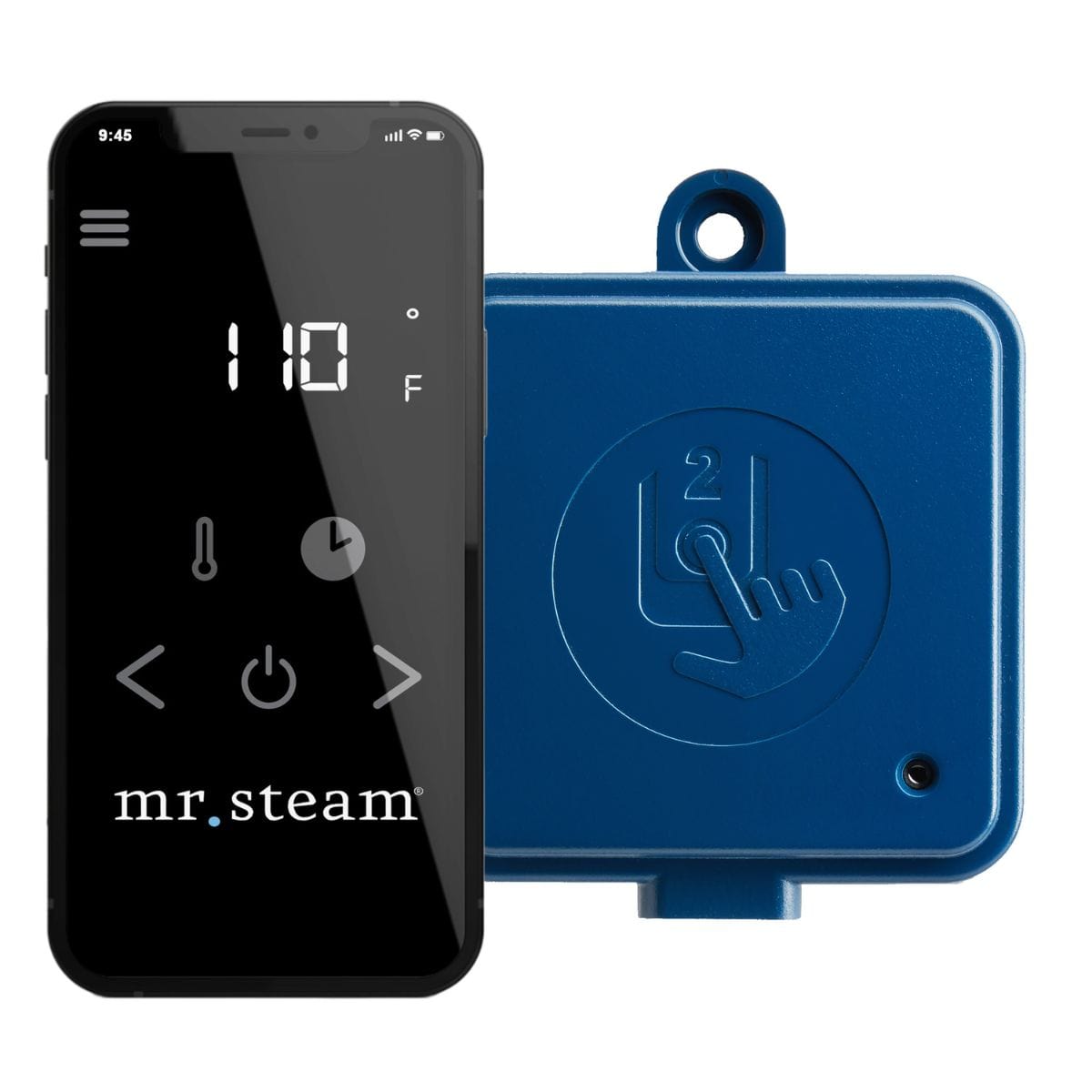 Mr. Steam Wifi Module for Controls