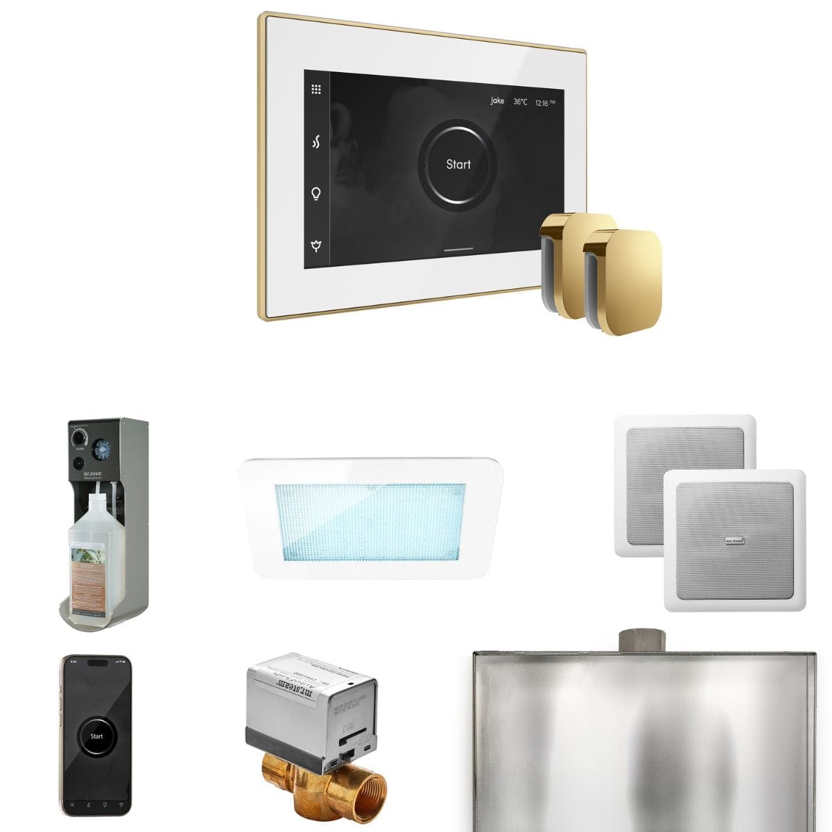 The XDream Package includes the iSteamX control, intuitively designed for a tailored user experience